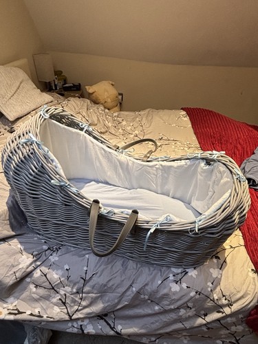 Baby blue mosses - baby, basket